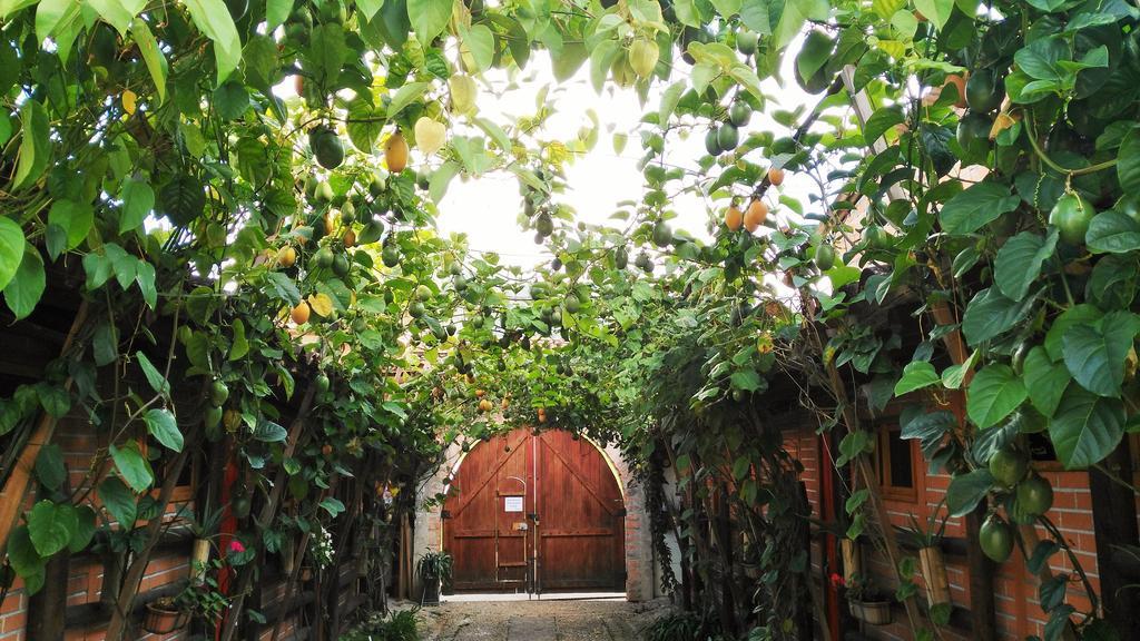 Hotel Kantarrana Urbana Jardin Exterior photo